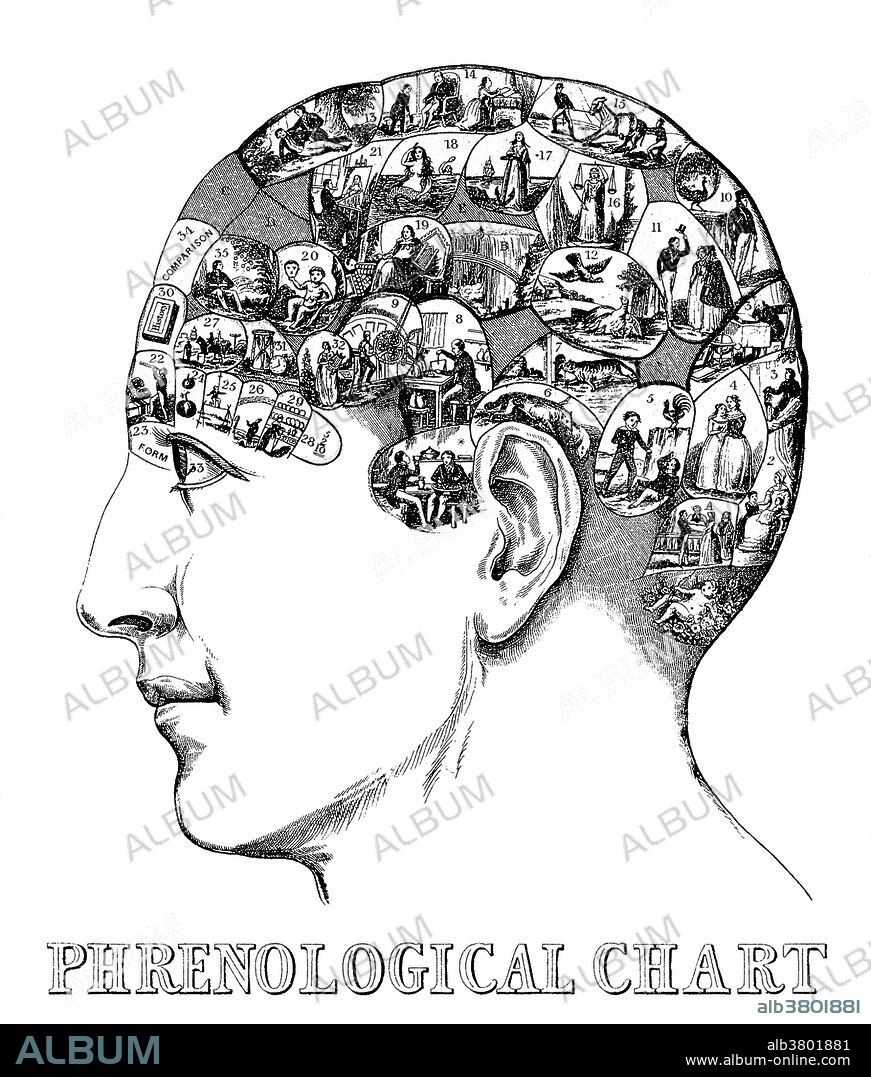 Entitled: "Head containing over thirty images symbolizing the phrenological faculties by Drs. Gall & Spurzheim." Phrenology is a pseudoscience primarily focused on measurements of the human skull, based on the concept that the brain is the organ of the mind, and that certain brain areas have localized, specific functions or modules. Although both of those ideas have a basis in reality, phrenology extrapolated beyond empirical knowledge in a way that departed from science. Developed by German physician Franz Joseph Gall in 1796, the discipline was very popular in the 19th century, especially from about 1810 until 1840. Although now regarded as an obsolete amalgamation of primitive neuroanatomy with moral philosophy, phrenological thinking was influential in 19th century psychiatry. Gall's assumption that character, thoughts, and emotions are located in specific parts of the brain is considered an important historical advance toward neuropsychology. Engraving by Orson Squire Fowler, 1845.