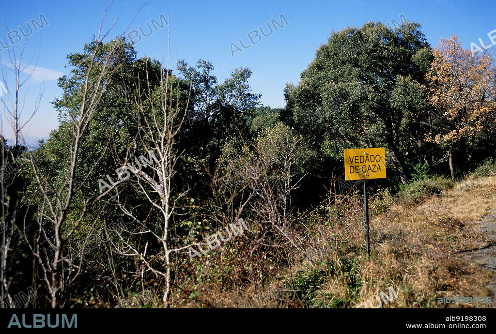 CARTEL DE VEDADO DE CAZA - FOTO AÑOS 90.
