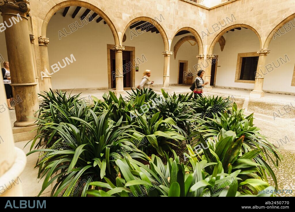 estudio general Luliano, antigua universidad Medieval de Mallorca -Real y Pontificia Universidad Luliana y Literaria de Mallorca-, Palma, mallorca, islas baleares, spain, europa.