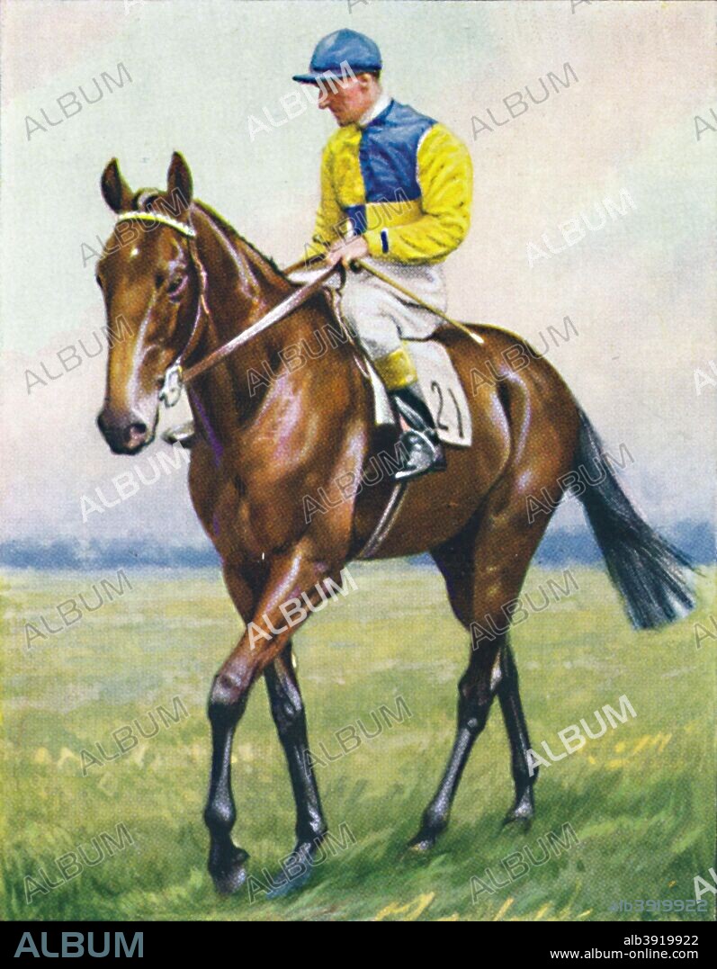 Scottish Union, Jockey: B. Carslake', 1939. Winner of The St Leger and second in the Epsom Derby in 1938. From Racehorses & Jockeys, 1938 - A Series of 40. [W. D. & H. O. Wills, Bristol, 1939].