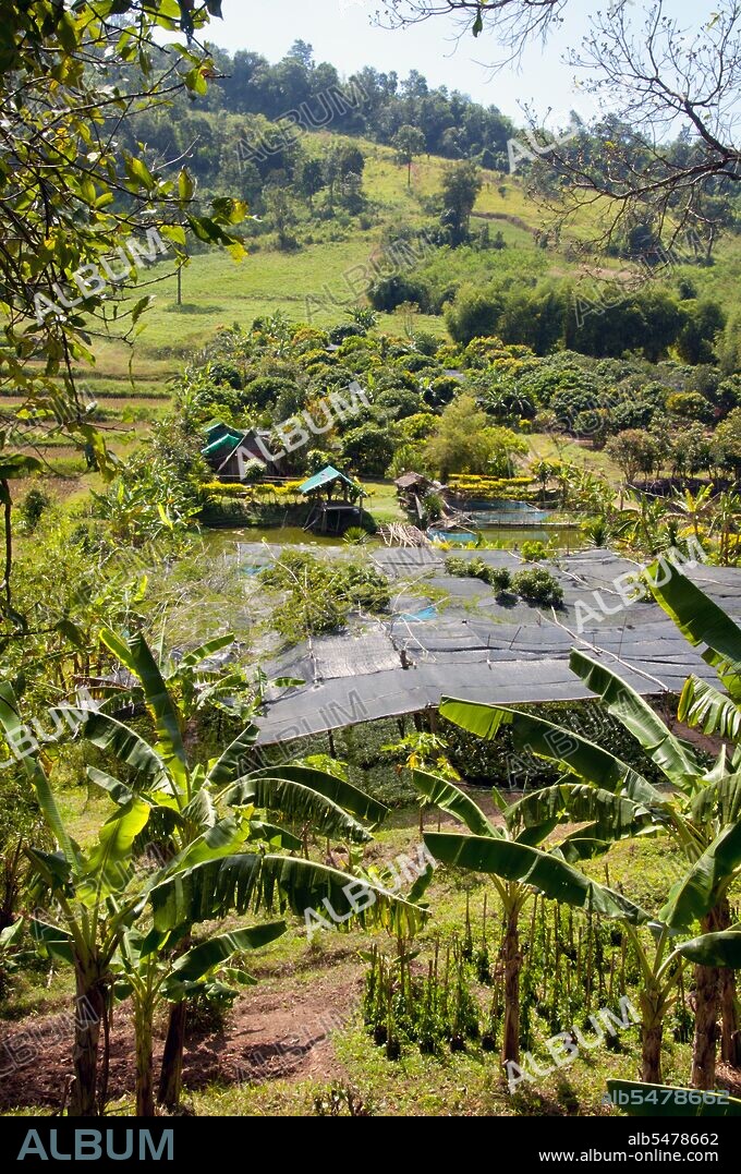 Loei (Thai: ???) Province is located in Thailand's upper North-East. Neighboring provinces are (from east clockwise) Nong Khai, Udon Thani, Nongbua Lamphu, Khon Kaen, Phetchabun, Phitsanulok. In the north it borders Xaignabouli and Vientiane Provinces of Laos. The province is covered with low mountains, while the capital Loei is located in a fertile basin. The Loei River, which flows through the province, is a tributary of the Mekong which, together with the smaller Hueang River, forms the northern boundary of the province with neighboring Laos. Although temperatures in the hot season (April-May) can be more than 40 degrees Celsius, the province is the only one in Thailand where temperatures regularly drops below freezing at night in the cold season (December-January). Loei is rich in national parks, including especially Phu Kradung, Phu Ruea, Phu Suan Sai (also known as Na Haeo) and Phu Luang Wildlife Sanctuary. In 1853 King Mongkut (Rama IV) founded the city of Loei to administer the increasing population in what was then a remote area. In 1907 the province was created by King Chulalongkorn (Rama V). The province is also famous for the Phi Ta Khon festival held at Dansai during the 6th lunar month to make merit and honour the spirits of the ancestors - a colourful mix of Buddhism and spirit worship. The symbol of the province is the stupa (chedi) at Phra That Si Song Rak in Dan Sai, which was built in 1560 by King Maha Chakrapat of Ayutthaya and King Chai Chetha of Lan Xang as a symbol of friendship between the Siamese and Lao kingdoms.