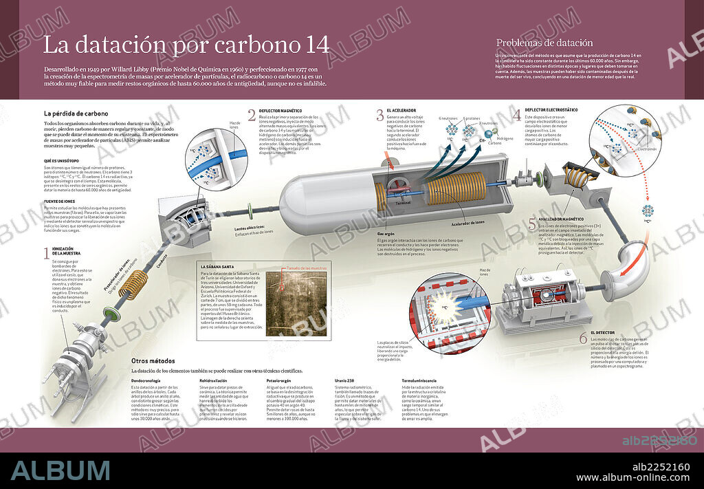 La datación por carbono 14. Infografía sobre el método de datación por carbono 14, muy útil para datar restos orgánicos de hasta 60.000 años de antigüedad.