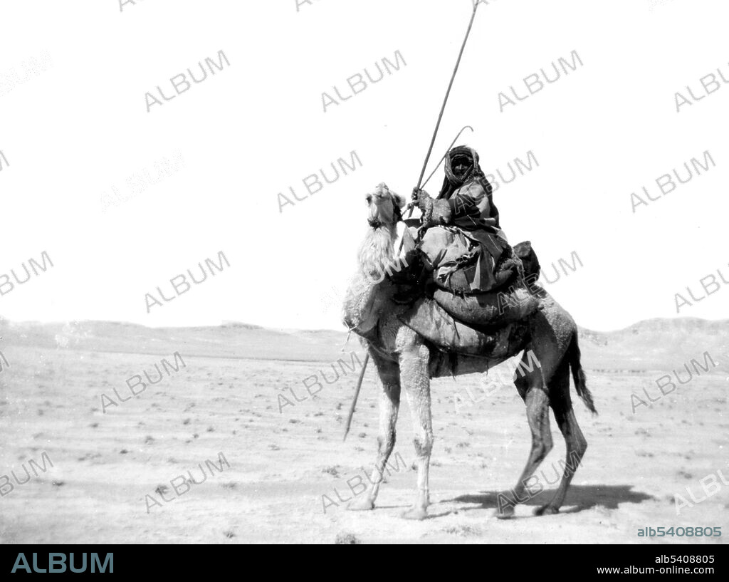 Bedouin warrior on camel-back. Bedouin warriors. The Bedouin are nomadic Arab people whose territory stretched from the deserts of North Africa to the sands of the Middle East. They are traditionally divided into tribes, or clans, and share a common culture of herding camels and goats. Camels were the main food source and method of transportation. The well-regulated traditional habit of Bedouin tribes of raiding other tribes, caravans, or settlements is known in Arabic as ghazw. American Colony (Jerusalem) Photo Department (cropped and cleaned), 1900 - 1920.