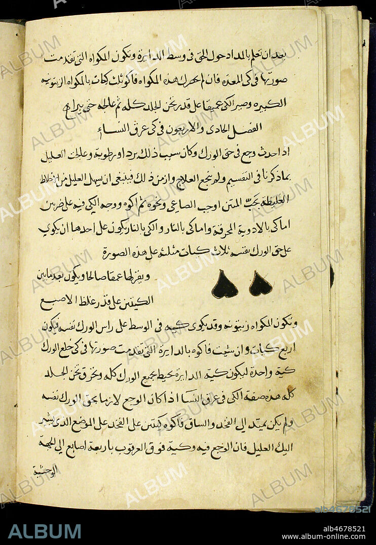 Outils de chirurgie du manuscrit arabe de medecine d'Ibn al-Baytar (1197-1248): 'Memento d'Ibn al-Baytar en medecine' sur la chirurgie. Credit: Boistesselin/KHARBINE-TAPABOR.