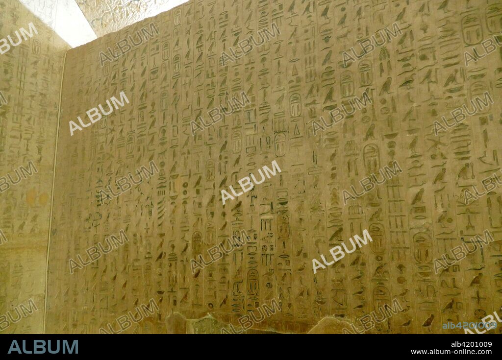 reliefs inside the Pyramid Complex of Unas. at Saqqara. near Cairo in Egypt. It was built for pharaoh Unas. the ninth and final king of the Fifth Dynasty in the mid 24th century BC. the pyramid of Unas is the first to have texts on the walls of its burial chambers. The spells of these Pyramid Texts were thought to be useful to the dead king in the afterlife. some were recited during his burial ceremonies.