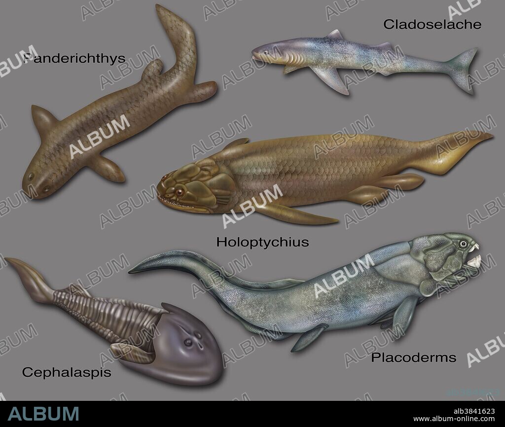 Prehistoric Fishes, Illustration