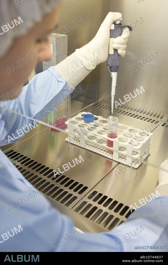 Taking samples from a T75 flask in biological safety cabinet. Laboratory, Fundación Inbiomed, Genetrix Group. Center for research in stem cells and regenerative medicine. Donostia, San Sebastian, Euskadi. Spain.