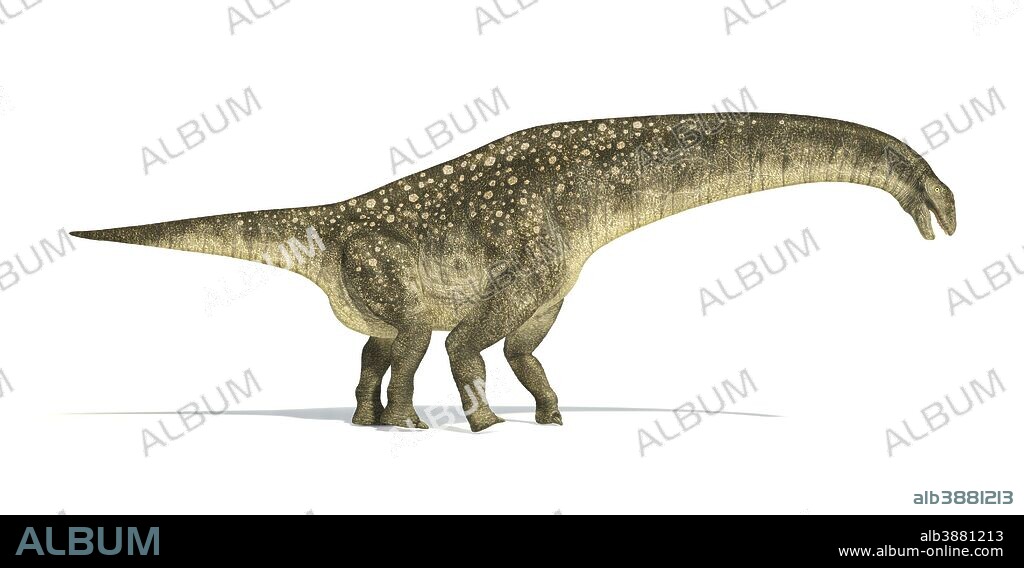 Titanosaurus dinosaur on white background with drop shadow.