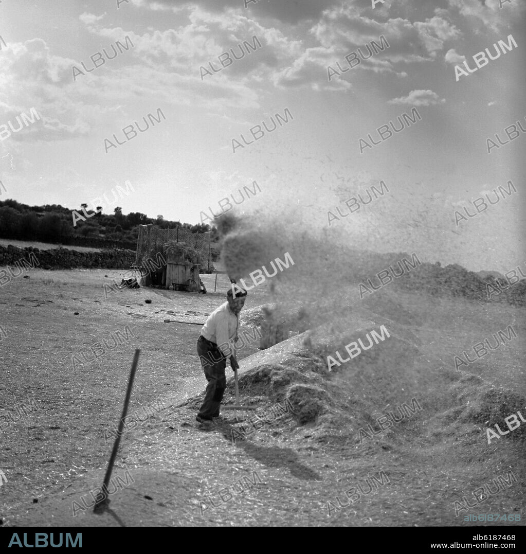 AGRICULTOR AVENTANDO TRIGO - FOTOGRAFIA EN BLANCO Y NEGRO - AÑOS 60.