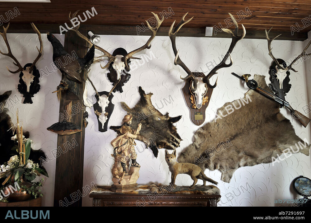 Trophäensammlung eines Jägers mit Geweihen, ausgestopften Tieren, Fellen und Nippes. Innenaufnahme vor weißem Rauhputz und Holzdecke.