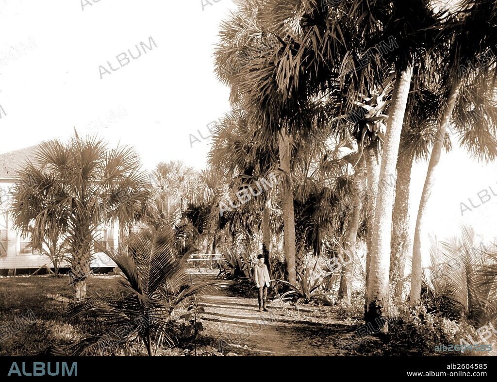 Hotel at Eden, Indian River, Jackson, William Henry, 1843-1942, Hotels, Bays, United States, Florida, Indian River, United States, Florida, Eden, 1880.