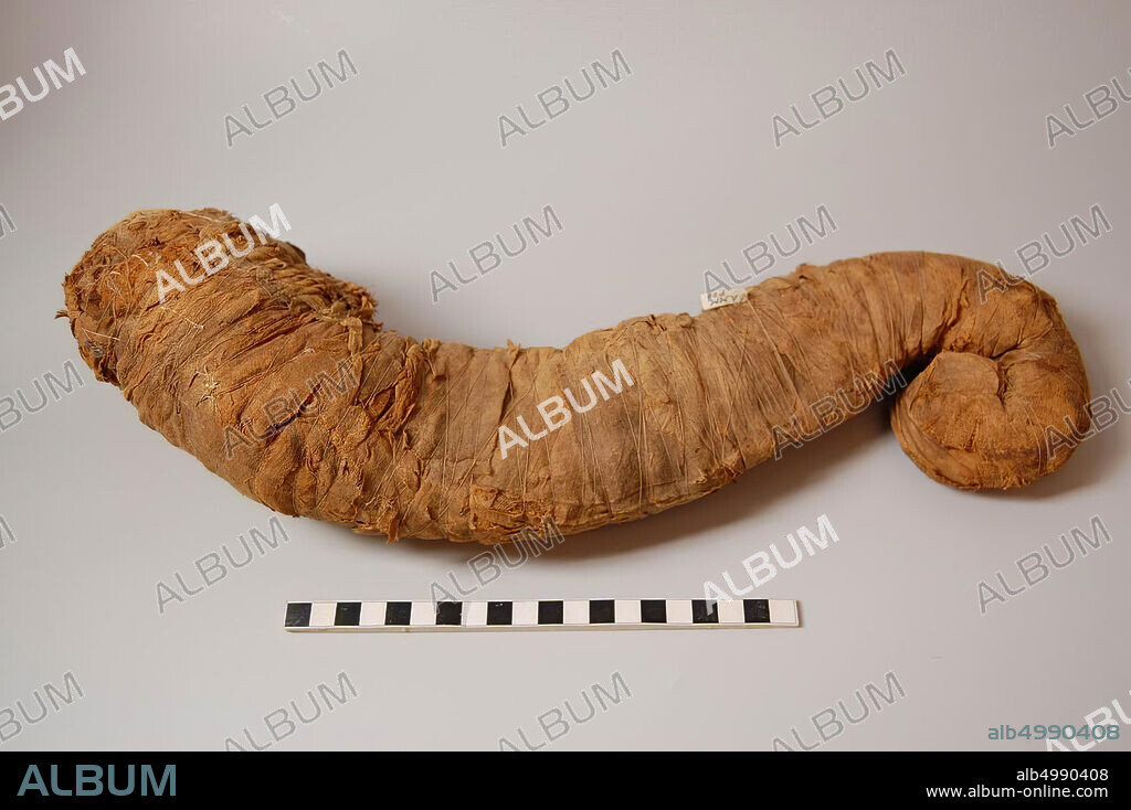 strand of hair, Object shaped like a sidelock, with a bulbous and curved middle section tapering to a spiral-shaped curl at the lower end. It is wrapped in natural linen bandages or varying width and texture (medium-fine warp-faced tabby weave, varying from 10 x 24 to 18 x 40 threads.