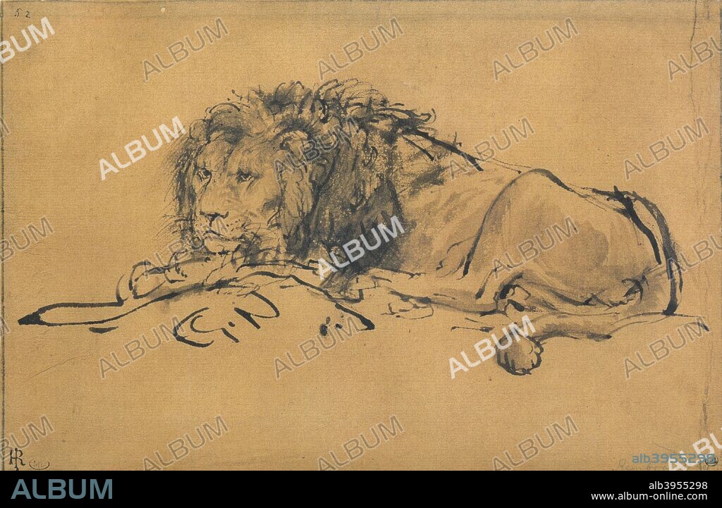 Lion Resting, Turned to the Left, c1650. After a work by Rembrandt van Rhijn (1606-1669). Original found in the collection of the Louvre, Paris.