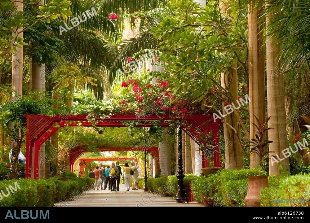 Aegypten, Assuan, Botanischer Garten auf der Kitchener-Insel.