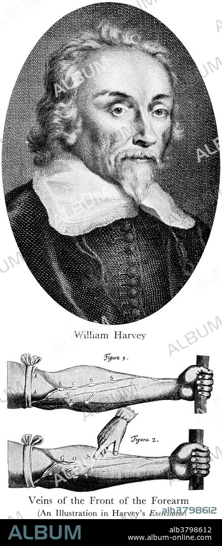 William Harvey, English Physician
