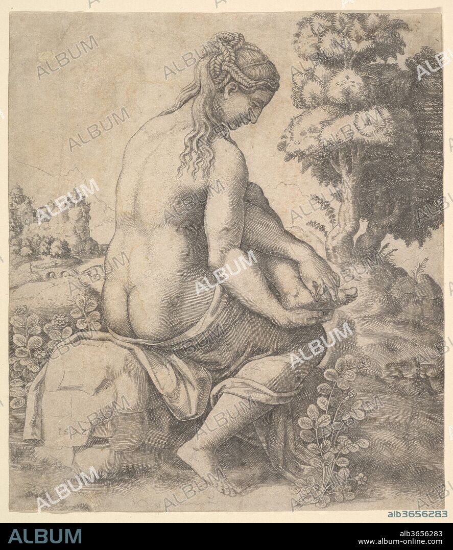 Venus removing a thorn from her foot. Artist: Master of the Die (Italian, active Rome, ca. 1530-60); Raphael (Raffaello Sanzio or Santi) (Italian, Urbino 1483-1520 Rome). Dimensions: sheet: 7 1/2 x 6 1/2 in. (19 x 16.5 cm). Date: 1532.
