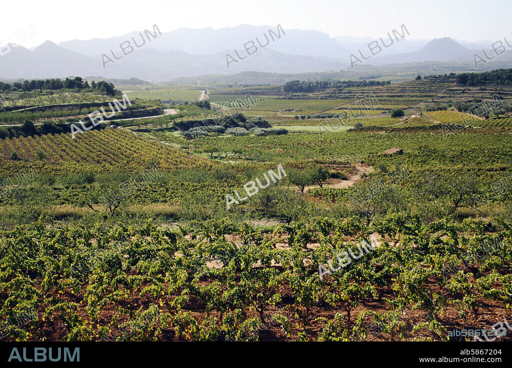 paisaje de viñedos / paisatge de vinyes entre Bots y Horta de Sant Joan; al fons /al fondo "Els Ports de Beseit".