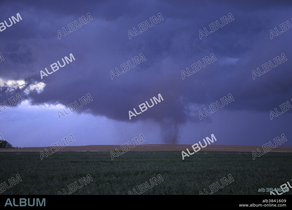 A gustnado spins across the ground. Considered a slang term, a gustnado is a weak tornado that develops along the gust front of a thunderstorm. Gustnadoes are typically small and brief. Kansas, USA.