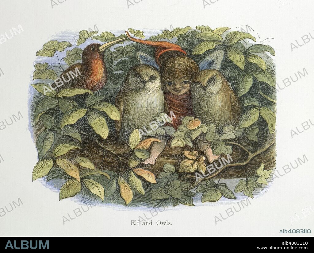 Elf and owls. In Fairy Land A series of pictures from the elf-world by Richard Doyle With a poem by W Allingham. Longmans & Co.: London, 1870 [1869]. Source: C.194.c.16, VII. Language: English.