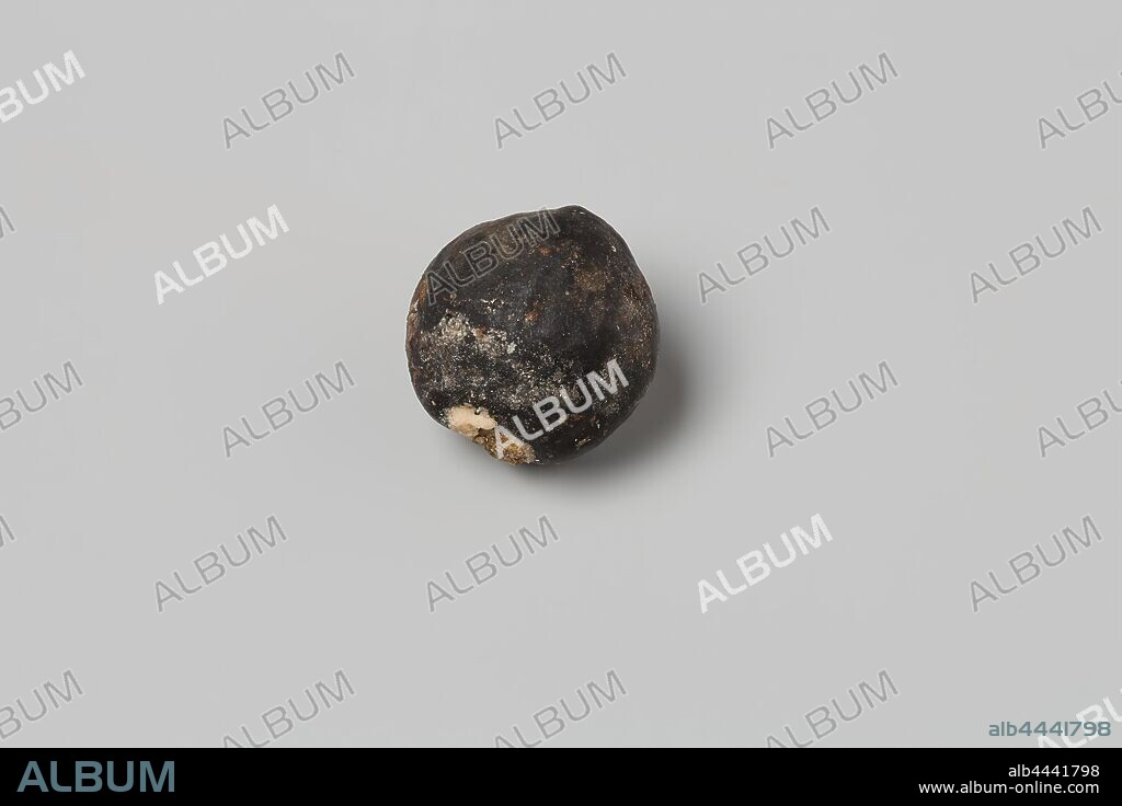 Kemirinoot from V.O.C. ship the 'Witte Leeuw', St. Helena, Dutch East India Company, anonymous, before 1613, nut (plant material), h 2.1 cm × d 2 cm.