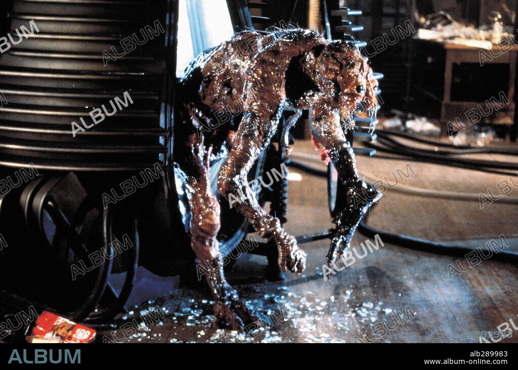 THE FLY, 1986, unter der Regie von DAVID CRONENBERG. Copyright 20TH CENTURY FOX.