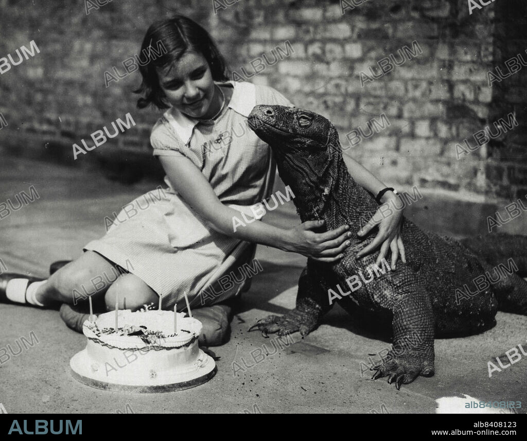 Sumbawa Has A Birthday Party - Sumbawa, King of the Reptile House at the London Zoo, shares his birthday cake with a lady friend. July 11, 1933. (Photo by Universal Press Agency).