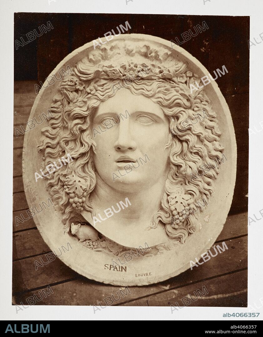 PHILIP HENRY DELAMOTTE. Antique Colossal Medallion of "Spain.". Photographic Views of the Progress of the Crystal Palace, Sydenham. Taken during the progress of the works, by desire of the directors, by Philip H. Delamotte. Together with a list of the directors and officers of the company, etc. London, 1855. Source: Tab.442.a.5, plate 12.