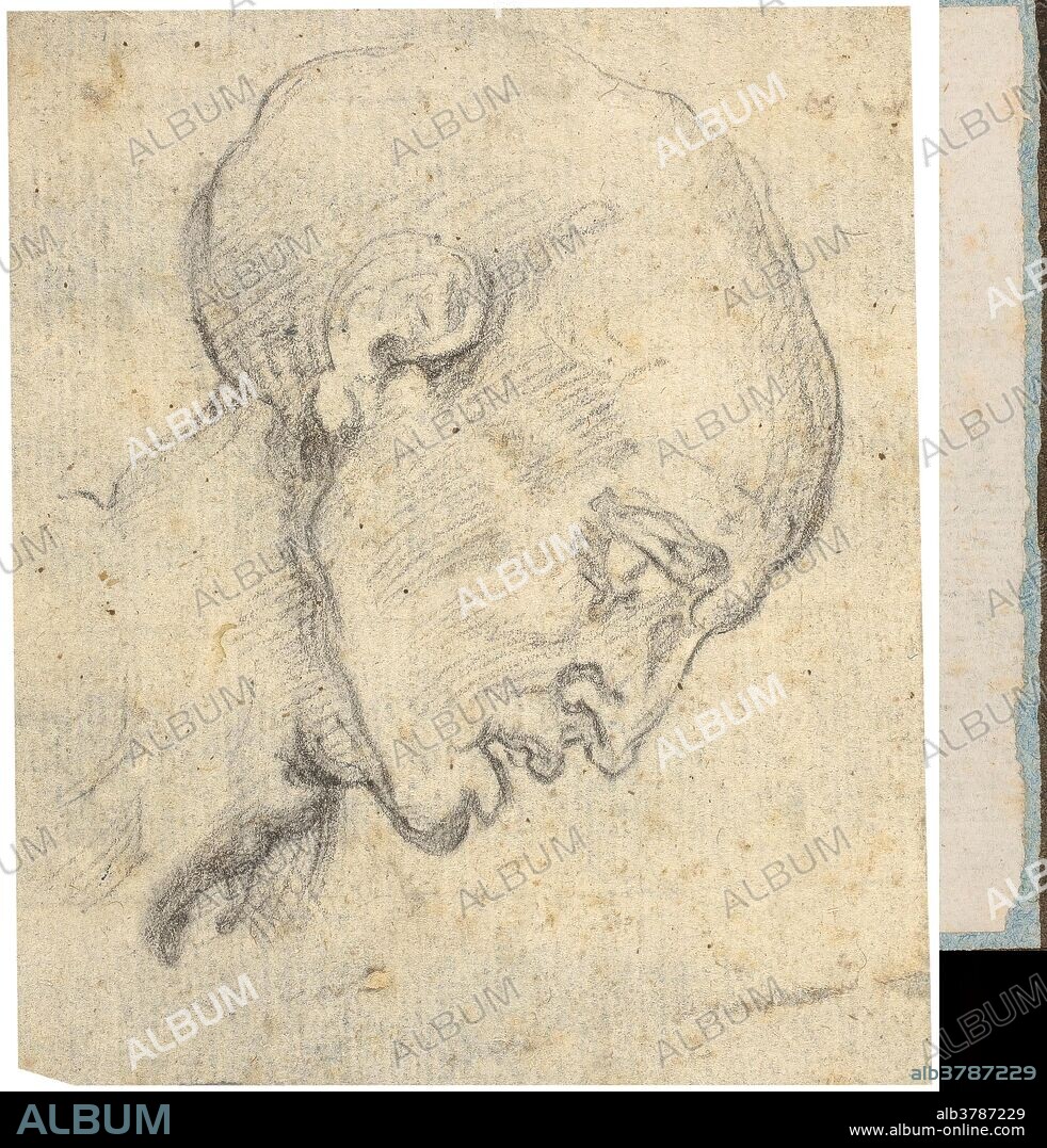 ANÓNIMO. Anónimo (Estilo de Miguel Ángel) / 'Cabeza masculina de perfil'. Siglo XVI. Lápiz sobre papel, 82 x 71 mm.