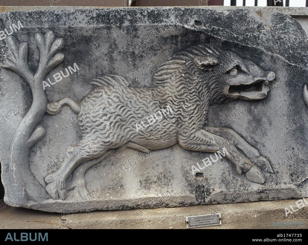 ARTE ROMANO. TURQUIA. Detalle de un RELIEVE de época romana, con la representación de un JABALI. Museo de la ciudad de MILETO.
