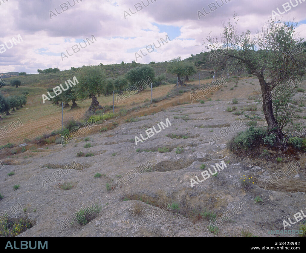 NECROPOLIS VISIGODA DEL CERRO DE CABEZA GORDA - SIGLOS VI/VIII - FOTO AÑOS 00.