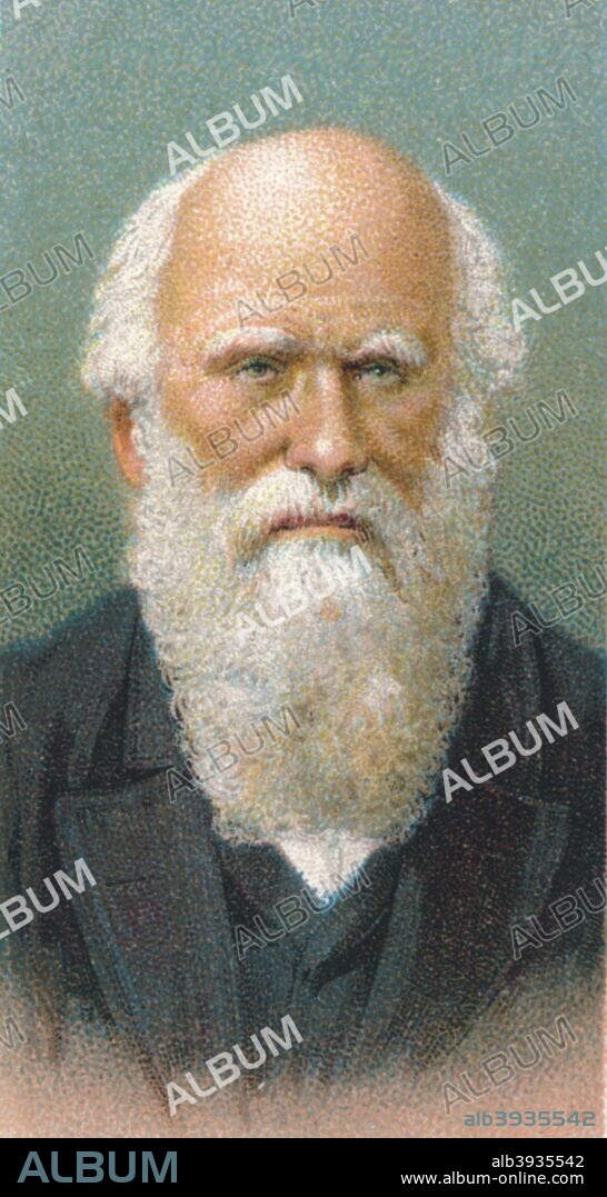 Charles Darwin (1809-1882), British naturalist. Darwin started his career on board the HMS 'Beagle' and spent six years surveying the South American seas. He is remembered for his momentous contributions to biology and as the originator of the theory of evolution. His most famous work, The Origin of the Species by Means of Natural Selection, was published in 1859. Taken from the 'Leaders of Men' cigarette cards produced by Ogdens 1924.