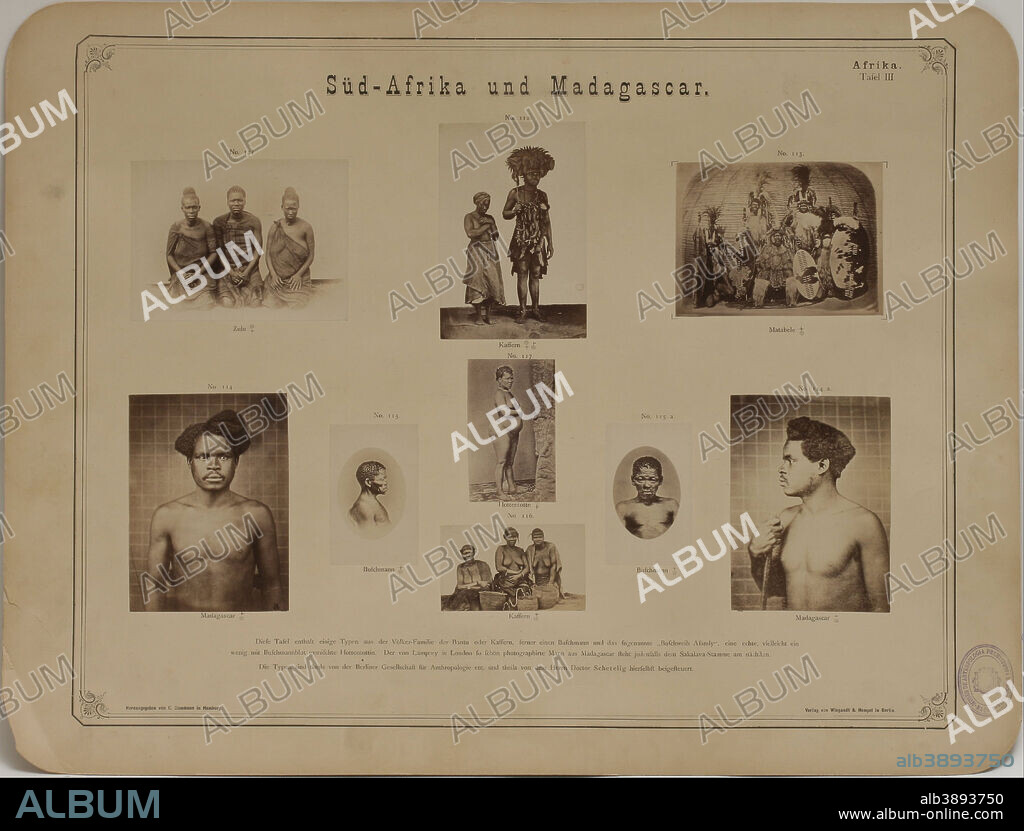 CARL DAMMANN. Photography Album on Anthropology- Ethnology by C. Dammann made in Hamburg (1873-1874). Date/Period: 1873/1876. Albumen, paper, cardboard. Width: 62.2 cm. Height: 47.3 cm (Complete).