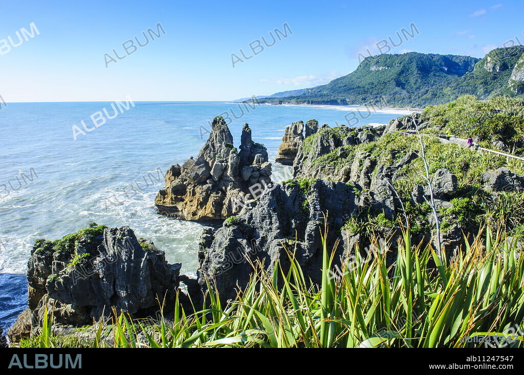 Beautiful rock formation, Pancake Rocks, Paparoa National Park, West Coast, South Island, New Zealand, Pacific.