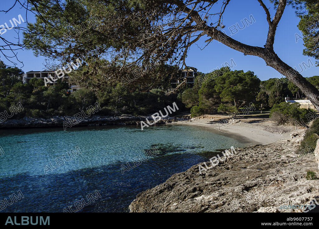 Caló de sa Torre, Porto Petro, Santanyi, Mallorca, Balearic Islands, Spain.