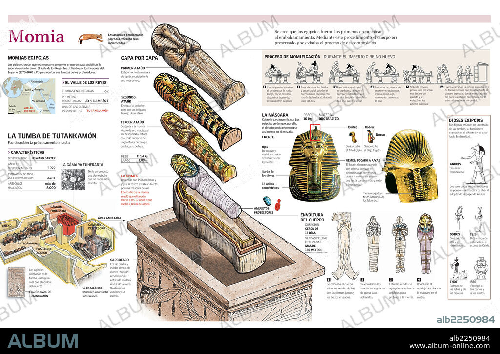 MOMIA. Infografía del proceso de momificación en el antiguo Egipto y de la momia del faraón Tutankamón.