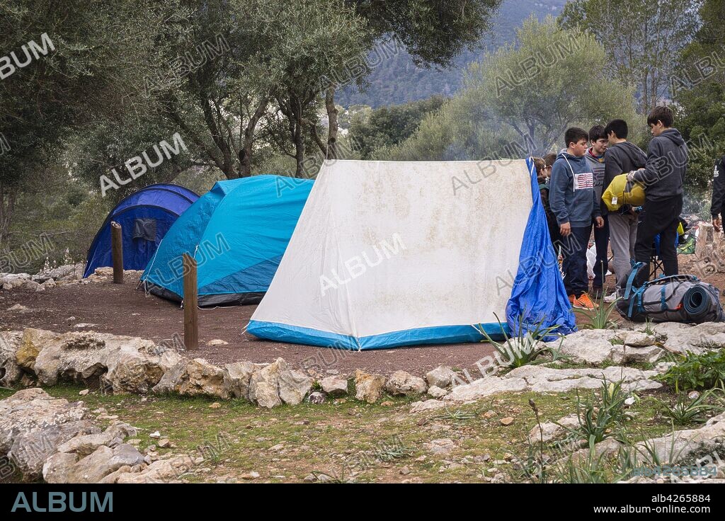 Zona de acampada es Pixarells, Escorca, sierra de Tramuntana, Mallorca, balearic islands, spain, europe.