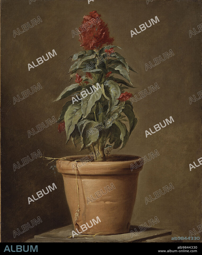 HENRI HORACE ROLAND DE LA PORTE. A Potted Plant, mid-late 18th century.