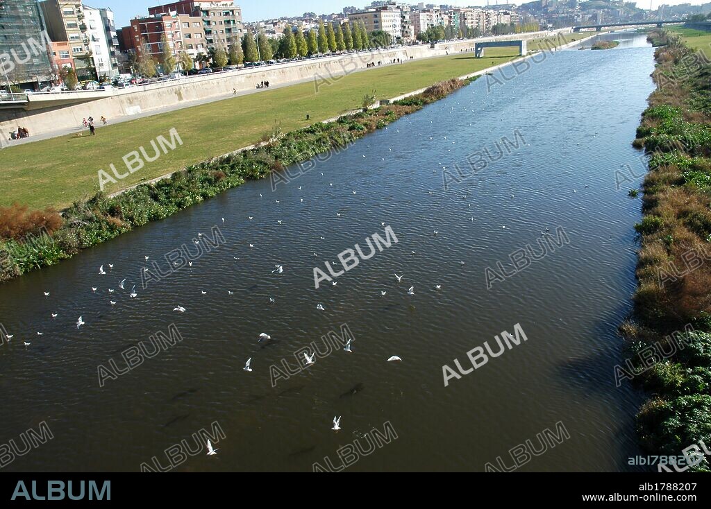 CATALUÑA. SANT ADRIA DEL BESOS. Vista general del PARQUE DEL RIO BESOS, moderno espacio de uso lúdico y deportivo con amplias zonas verdes y carril bici. Comarca del Barcelonès. Provincia Barcelona.