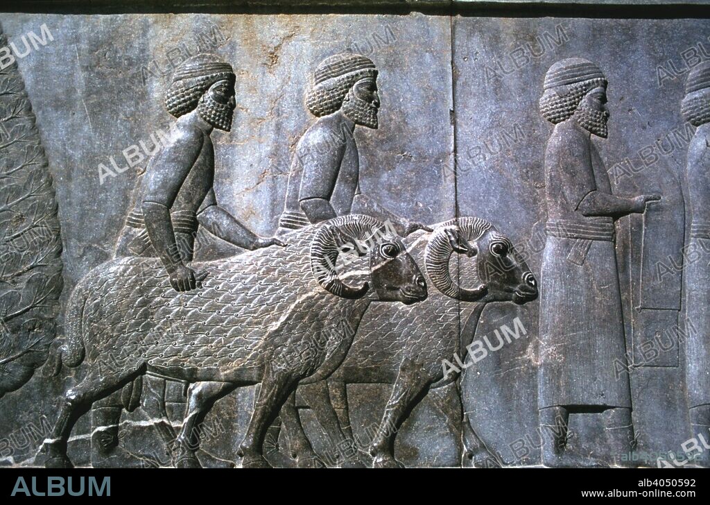 Relief of Sogdians, the Apadana, Persepolis, Iran. The capital of Achaemenid Persia, Persepolis was predominantly built during the reigns of the dynasty's founder, Darius I (522-485 BC) and his son Xerxes I (485-465 BC). One of the main, and earliest, buildings of the city was the great audience hall, the Apadana. Every year the king would receive tribute in the form of gifts from representatives of all the poples of the Achaemenid empire, which at its greatest extent stretched from Libya in the west to the Indus valley in the east. The eastern entrance to the Apadana was decorated with reliefs of the empire's subject peoples.