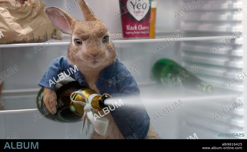 PETER RABBIT 2: THE RUNAWAY, 2021, directed by WILL GLUCK. Copyright COLUMBIA PICTURES.