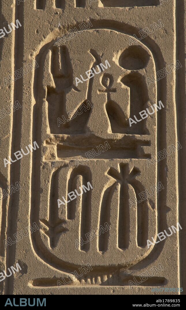 ESCRITURA JEROGLIFICA. EGIPTO. PROTOCOLO REAL DE RAMSES II. Detalle de uno de los CARTUCHOS donde se escribía el conjunto de nombres o títulos que asumía el faraón en el momento de su ascensión al trono. Quinto nombre o título real del faraón: HIJO DE RA "RA LE HA DADO LA VIDA". DINASTIA XIX. (1320-1200 a. C.). IMPERIO NUEVO.
