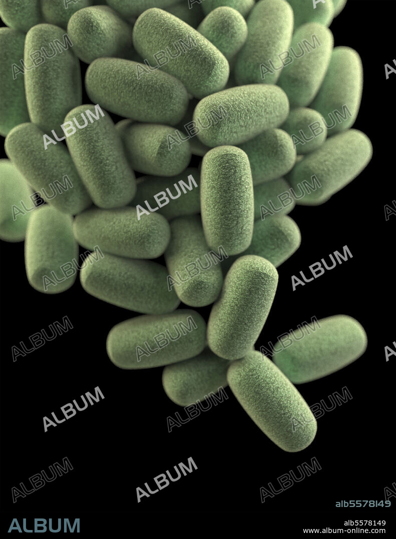 3D illustration of a cluster of barrel-shaped, Clostridium perfringens bacteria. This artistic recreation is based upon scanning electron microscopic (SEM) imagery.