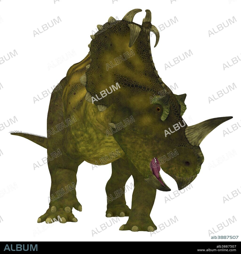 Centrosaurus dinosaur, front view. Centrosaurus is a herbivorous Ceratopsian dinosaur that lived in Canada during the Cretaceous Period.