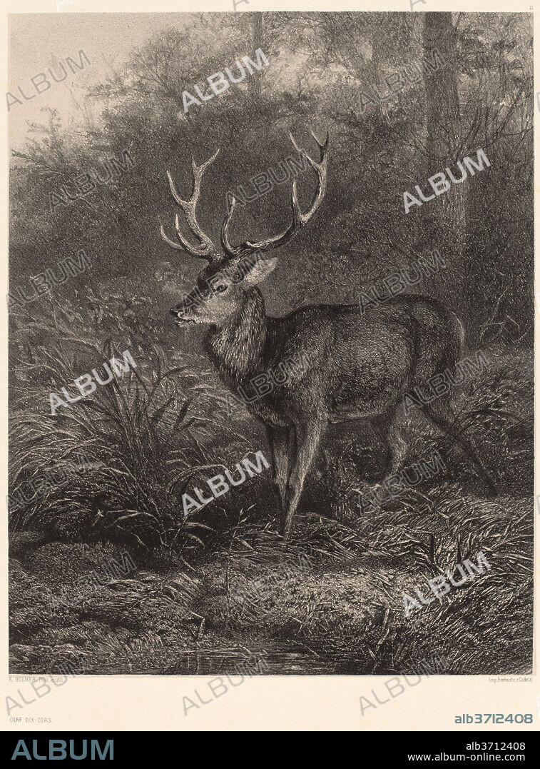 KARL BODMER. Cerf Dix-Cors. Medium: lithograph.