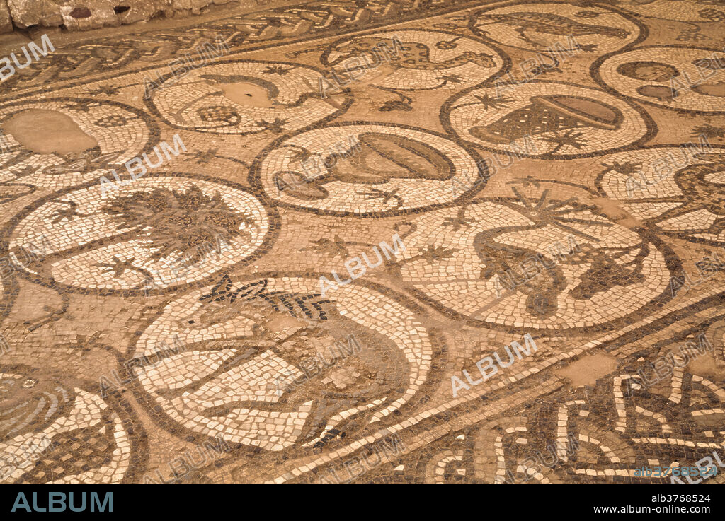 Floor mosaics, Petra Church (Byzantine Church), built between the 5th and 7th centuies AD, Petra, UNESCO World Heritage Site, Jordan, Middle East.