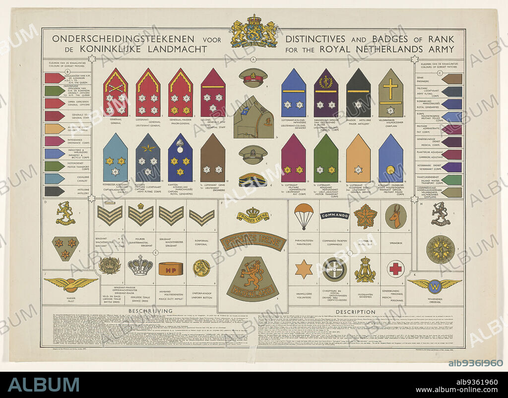 Distinctions for the Royal Netherlands Army, Distinctives and Badges of Rank for the Royal Netherlands Army (title on object), Wall chart with overview of Dutch and English text and color images of various military distinguishing marks., Cor Visser, publisher: Ministerie van Oorlog (mentioned on object), London, 1943, paper, printing, height 54 cm × width 74 cm.