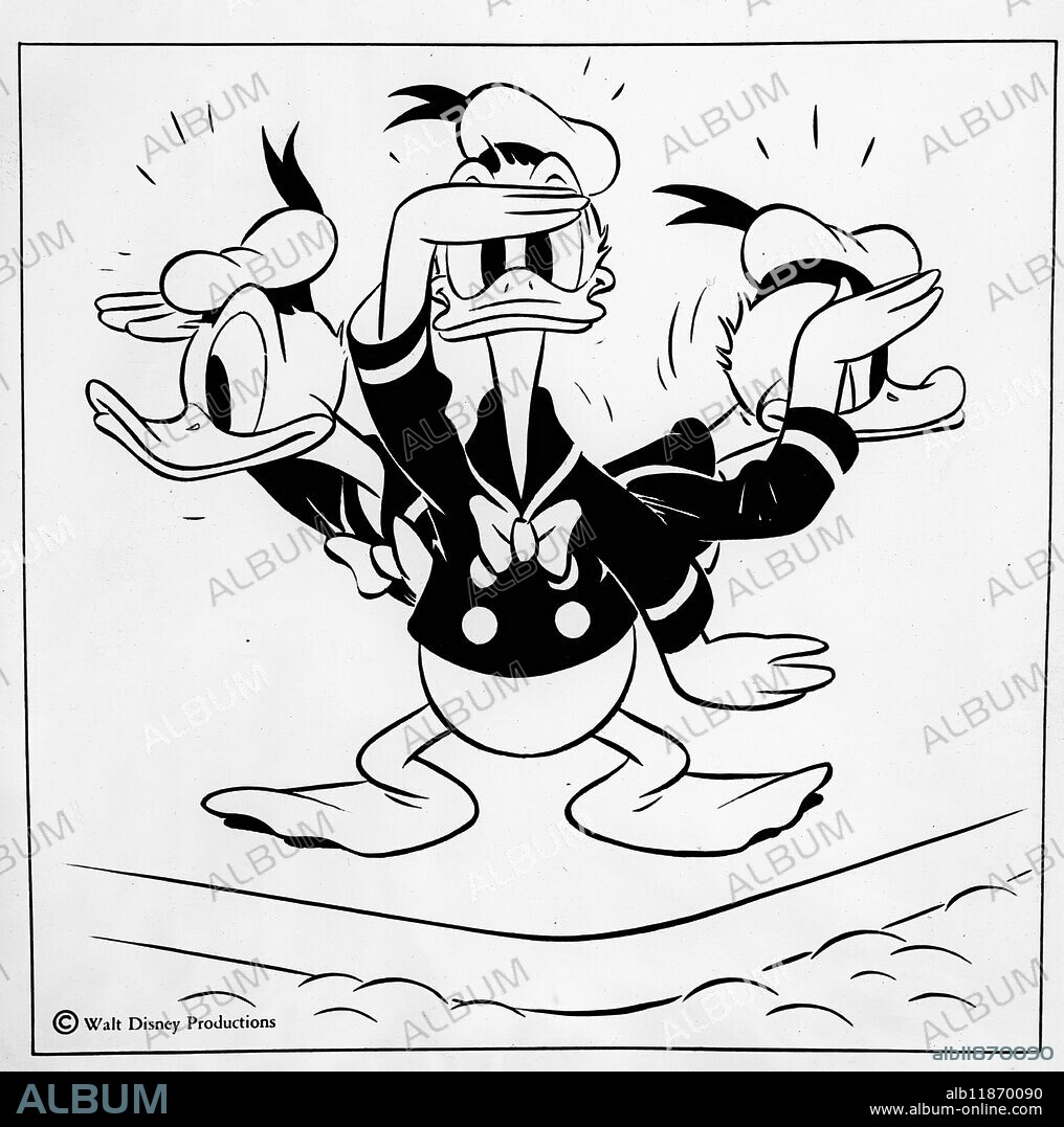 DONALD SHOWS HOW TO ' DUCK ' THE UNDERTAKER. Donald Duck, favourite cartoon character of millions who have, so they say, nearly ' died laughing', is going to help in keeping death of the road next year. he will be the central figure in 1950s children's safety campaign organised by the Royal Society for the prevention of accidents. it is considered children will be particularly impressed by the example of little ' tough guy' Donald observing safety first rules. Walt Disney, himself a safety first enthusiasts, readily gave permission for use of his cartoon characters, although normally he puts a high price on them. apart from lending the characters he has made two short road-safety films featuring ' goofy'. posters in which Donald Duck emphasis curb drill and other safety measures, will be circulated throughout the country. Walt Disney Productions. PICTURE SHOWS- ' Tough guy' Donald Duck safety first routine for the new children's safety campaign. 19 October 1949.