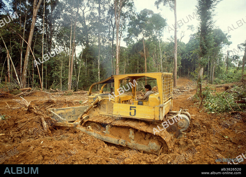 Clearing the lowland tropical rainforest in West Kalimantan, Borneo, Indonesia. Forest exploitation in developing nations gives resources for development but is unsustainable, inequitable, reduces biodiversity, affects the climate and disrupts indigenous economies.