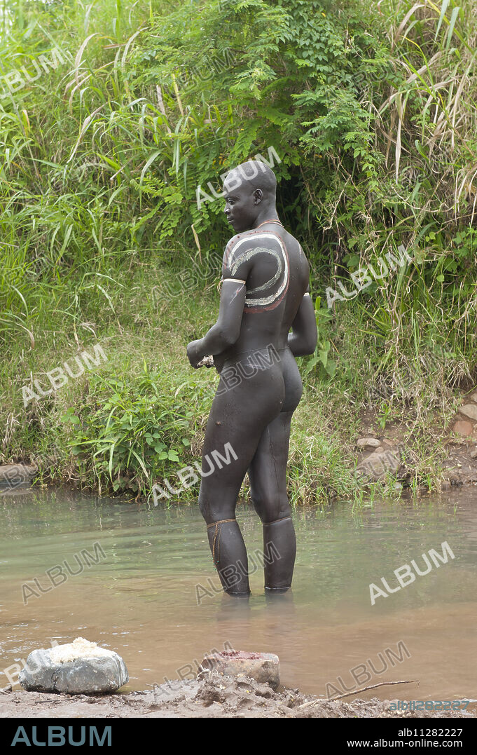 Before the Donga stick fight, the Surma warriors apply a body paint made of clay and mineral on their bodies, Surma tribe, Tulgit, Omo River Valley, Ethiopia, Africa.