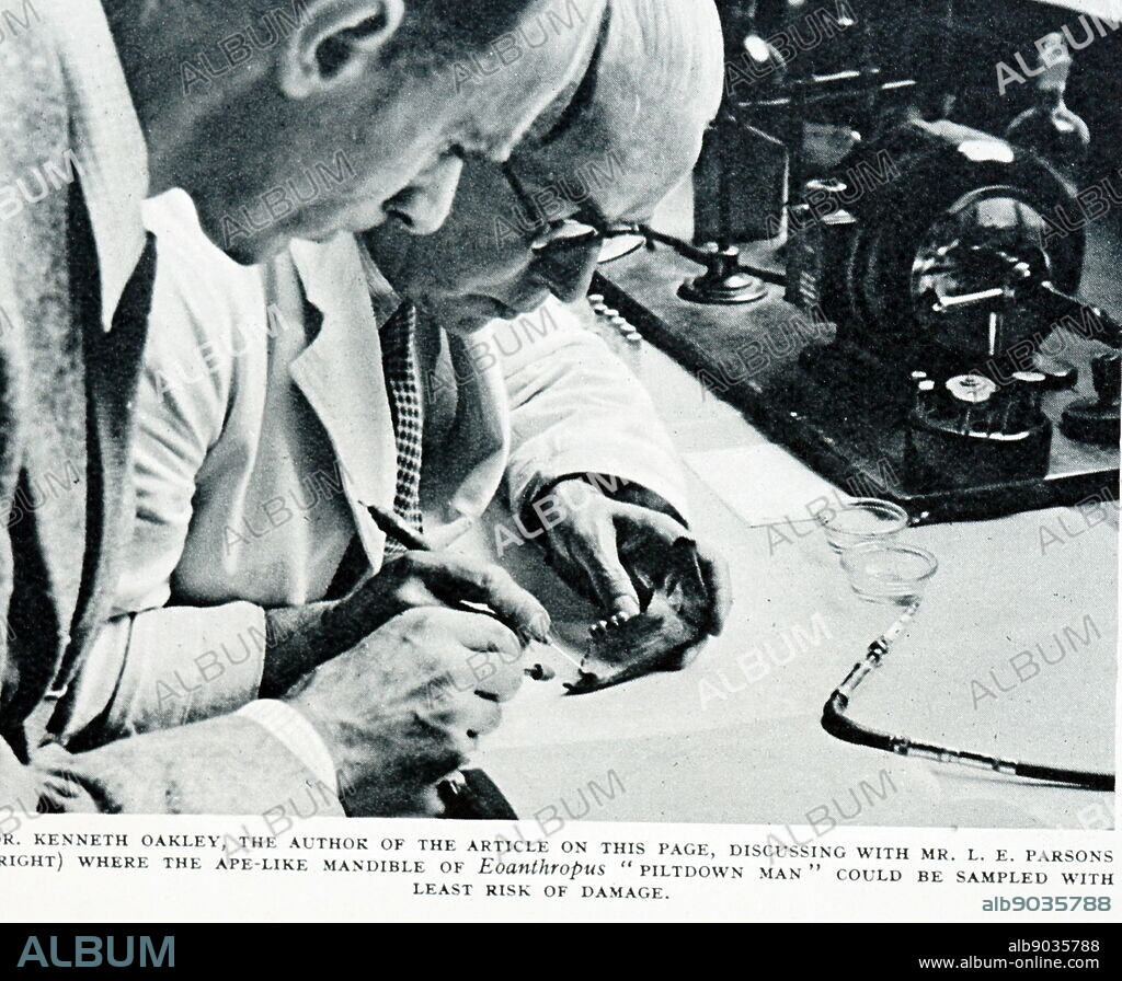 Dr. Kenneth Oakley examining skull bones of Piltdown Man. The Piltdown Man was a paleoanthropological fraud in which bone fragments were presented as the fossilised remains of a previously unknown early human. Kenneth Page Oakley (7 April 1911 - 2 November 1981) was an English physical anthropologist, palaeontologist and geologist.